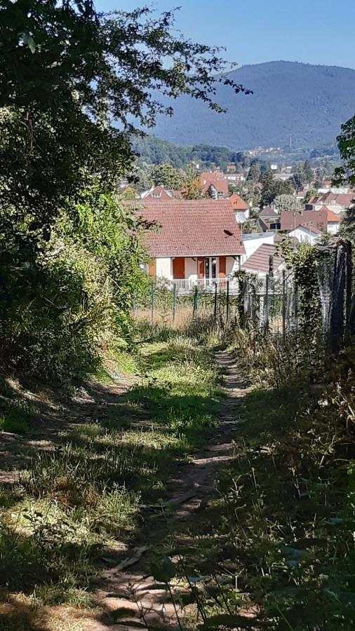 Ravissant Studio Dans Un Cadre Agreable Soultz-Haut-Rhin Екстер'єр фото